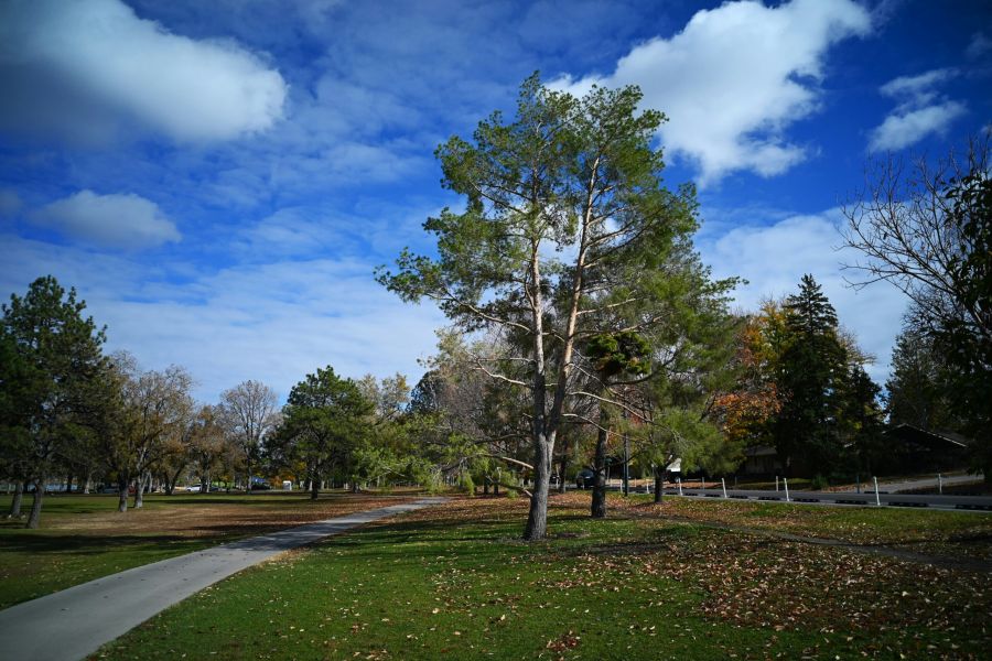 A paved path winds through a park with green grass, trees, and a partly cloudy blue sky.