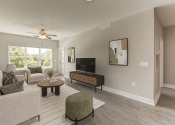 Modern living room with light gray walls, a sofa, armchair, TV, coffee table, large window, and wall art.