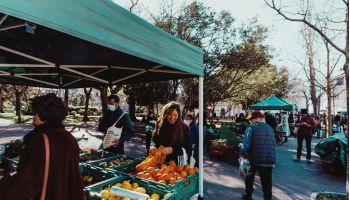 City of Manassas Farmers Market