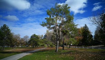 Manassas National Battlefield Park